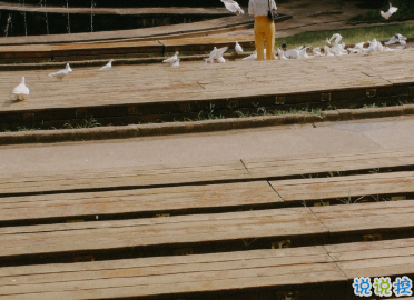 最新收集有關(guān)秋天的句子 切充滿希望溫柔又熱烈4