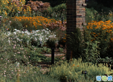 最新收集有關(guān)秋天的句子 切充滿希望溫柔又熱烈11