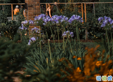 最新收集有關(guān)秋天的句子 切充滿希望溫柔又熱烈13