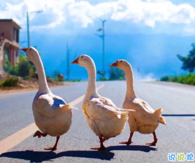 既浪漫又溫柔的句子 日復(fù)一日的美夢(mèng)1