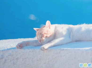 既浪漫又溫柔的句子 日復(fù)一日的美夢(mèng)2