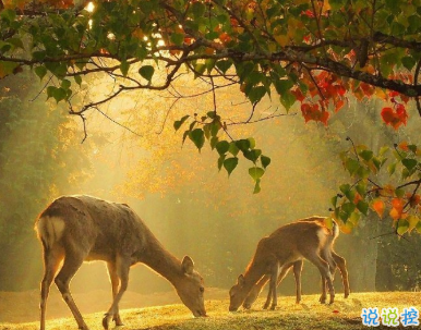 九月再見(jiàn)十月你好 你所期待的正在一步步靠近你1