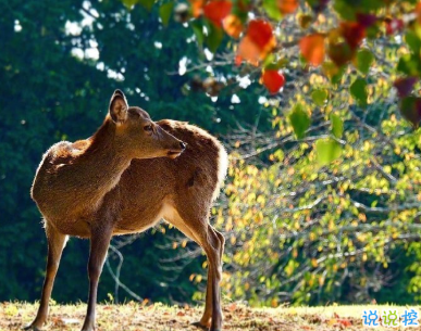 九月再見(jiàn)十月你好 你所期待的正在一步步靠近你2