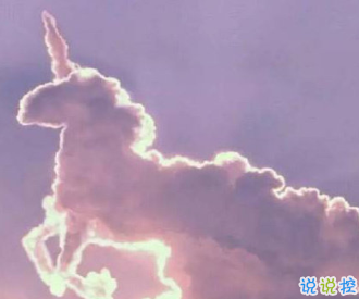 干干凈凈貼近生活的句子 有溫柔也有英勇1