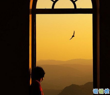 一定要收藏的寶藏句子 飛鳥與魚不同路 1