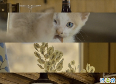 那些能夠觸動到你的熱評 一晃兩三年匆匆又秋天2