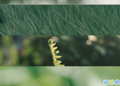 那些能夠觸動到你的熱評 一晃兩三年匆匆又秋天7