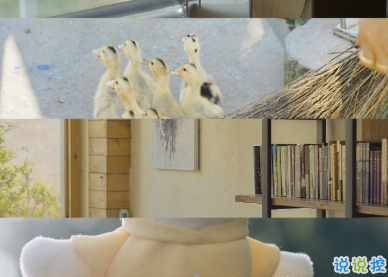 那些能夠觸動到你的熱評 一晃兩三年匆匆又秋天8