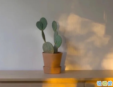 賞月時(shí)可以發(fā)朋友圈的說(shuō)說(shuō) 一輪明月思悠悠1