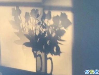 賞月時(shí)可以發(fā)朋友圈的說(shuō)說(shuō) 一輪明月思悠悠2