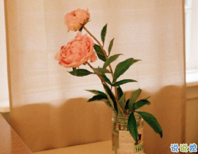 十一中秋遇到國(guó)慶的說(shuō)說(shuō) 國(guó)安所以家圓1