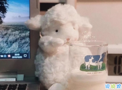 用來表達愛情的詩句 詩意且唯美的句子4