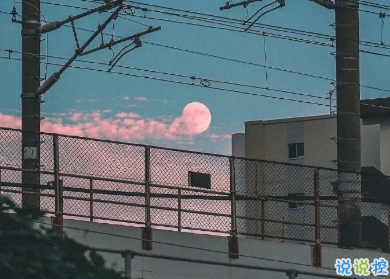 用來表達愛情的詩句 詩意且唯美的句子5