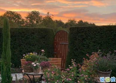 用來表達愛情的詩句 詩意且唯美的句子7