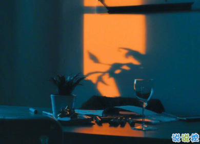 用來表達愛情的詩句 詩意且唯美的句子10