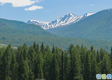 用來表達愛情的詩句 詩意且唯美的句子11