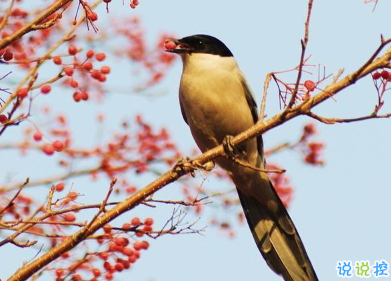 用來表達愛情的詩句 詩意且唯美的句子12