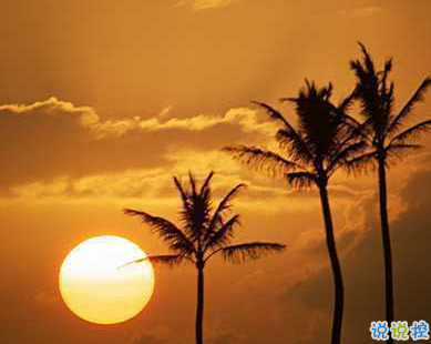 用來表達(dá)愛情的詩句 詩意且唯美的句子4