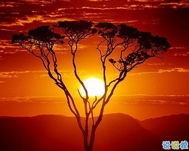 用來表達(dá)愛情的詩句 詩意且唯美的句子6