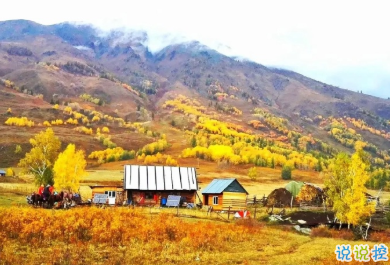 用來表達(dá)愛情的詩句 詩意且唯美的句子10