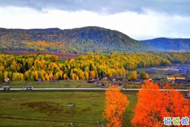 用來表達(dá)愛情的詩句 詩意且唯美的句子13