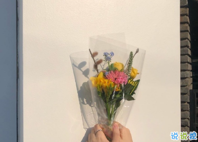 適合國(guó)慶結(jié)婚發(fā)的朋友圈 讓浪漫掛起快樂(lè)的風(fēng)帆3