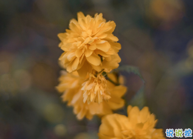 適合國(guó)慶結(jié)婚發(fā)的朋友圈 讓浪漫掛起快樂(lè)的風(fēng)帆8