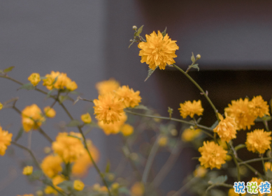 適合國(guó)慶結(jié)婚發(fā)的朋友圈 讓浪漫掛起快樂(lè)的風(fēng)帆13