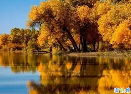 十月鼓勵(lì)你頹廢時(shí)的句子 不要總是懷念過去2