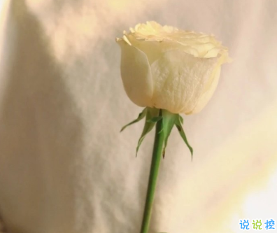 中秋和國慶在一起的文案 龍騰盛世月滿乾坤1