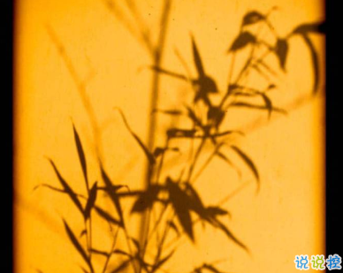 金九銀十再見九月 你好十月在生活中成長2