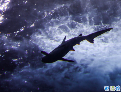 國慶節(jié)結(jié)婚浪漫說說 良緣喜結(jié)成新婚佳偶天成定三生2