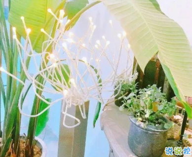 祝大家國慶假期愉快的說說 愿你國慶長假飯吃得香2