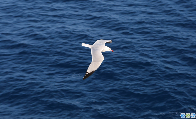 那些珍藏在備忘錄的句子 求之不得往往不求而得2
