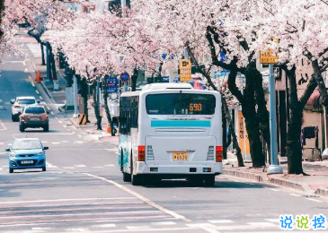 15句愛(ài)國(guó)的經(jīng)典語(yǔ)錄 愛(ài)國(guó)一種光榮的義務(wù)4