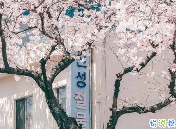 15句愛(ài)國(guó)的經(jīng)典語(yǔ)錄 愛(ài)國(guó)一種光榮的義務(wù)8