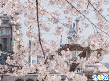 15句愛(ài)國(guó)的經(jīng)典語(yǔ)錄 愛(ài)國(guó)一種光榮的義務(wù)9