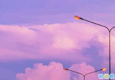 一波極具溫柔的文案句子 野鶴奔向閑云我步入你1