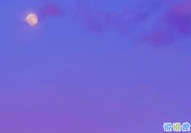 一波極具溫柔的文案句子 野鶴奔向閑云我步入你2