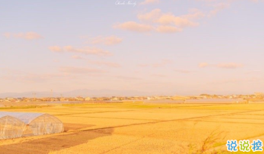 一波文藝的情話帶圖片 在青山綠水之間想牽著你的手1