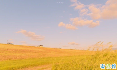 一波文藝的情話帶圖片 在青山綠水之間想牽著你的手3