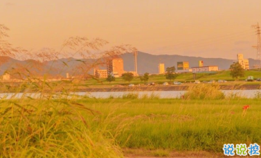 一波文藝的情話帶圖片 在青山綠水之間想牽著你的手9