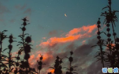 一波文藝的情話帶圖片 在青山綠水之間想牽著你的手11