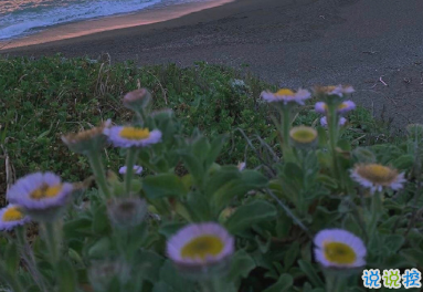 生活中教你識人的文案  讓你受益的經(jīng)典語錄1