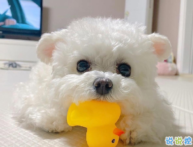 朋友圈戀愛紀念日文案 想繼續(xù)和你看星空5