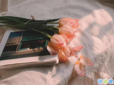 朋友圈戀愛紀念日文案 想繼續(xù)和你看星空6