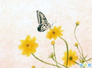 朋友圈戀愛紀念日文案 想繼續(xù)和你看星空12