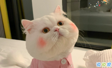 生日快樂有趣的祝福文案 要不動聲色的做個大人啦1