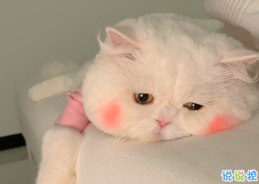 生日快樂有趣的祝福文案 要不動聲色的做個大人啦2