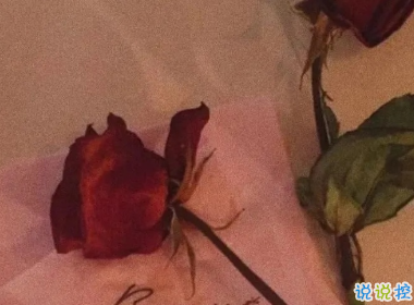 讓人一眼就點(diǎn)贊的文案 求之不得往往不求而得2